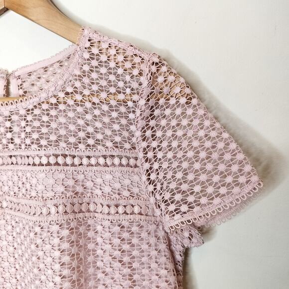 Ann Taylor Pink Lace Dress Short Sleeve Shift - Picture 6 of 11